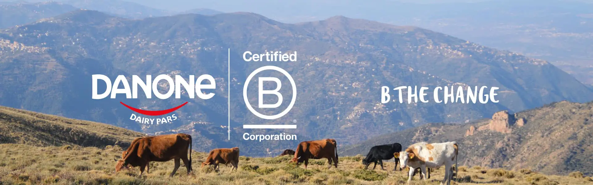 BCorp